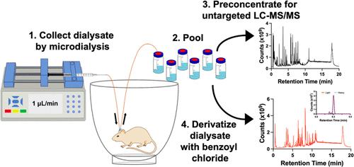 In-Depth Chemical Analysis of the Brain Extracellular Space Using <i>In Vivo</i> Microdialysis with Liquid Chromatography-Tandem Mass Spectrometry.