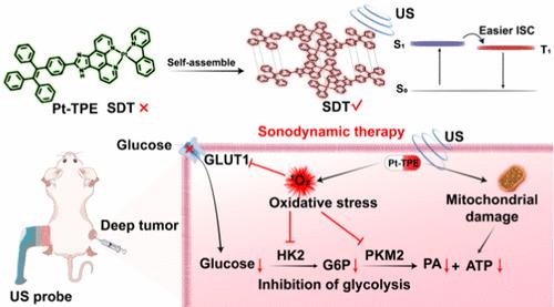 Enhanced Sonodynamic Therapy for Deep Tumors Using a Self-Assembled Organoplatinum(II) Sonosensitizer.