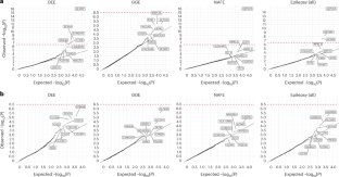 Exome sequencing of 20,979 individuals with epilepsy reveals shared and distinct ultra-rare genetic risk across disorder subtypes