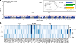 Pan-African analysis identifies genetic differences in prostate cancer risk