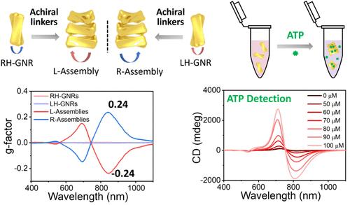 Self-Matching Assembly of Chiral Gold Nanoparticles Leads to High Optical Asymmetry and Sensitive Detection of Adenosine Triphosphate.