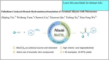 Palladium-Catalyzed branch hydroaminocarbonylation of terminal alkynes with nitroarenes