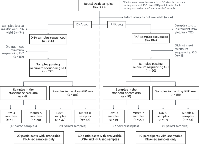 Impact of doxycycline post-exposure prophylaxis for sexually transmitted infections on the gut microbiome and antimicrobial resistome