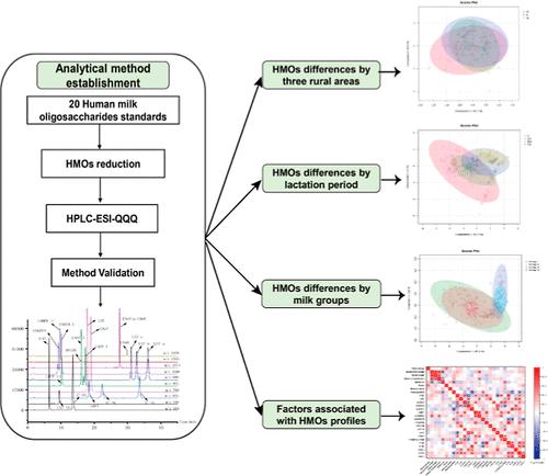 Systematic Characterization of the Oligosaccharide Profile of Human Milk in Rural Areas of Central China: Quantitative Tracking of Human Milk Oligosaccharide Composition during 12 Months of Lactation.