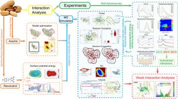 Investigating the interaction mechanisms between arachin and resveratrol: Utilizing multi-spectroscopy and computational chemistry