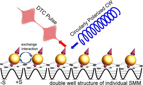 Time Crystals from Single-Molecule Magnet Arrays.