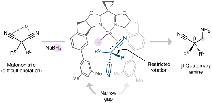 Cobalt-catalysed desymmetrization of malononitriles via enantioselective borohydride reduction