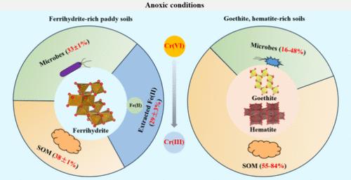 Chromium(VI) Adsorption and Reduction in Soils under Anoxic Conditions: The Relative Roles of Iron (oxyhr)oxides, Iron(II), Organic Matters, and Microbes.