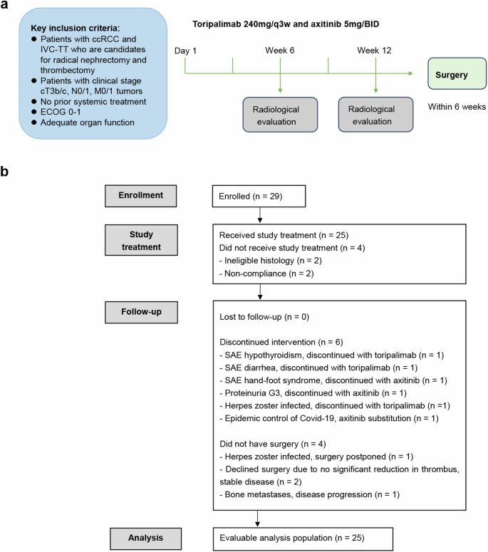 Neoadjuvant toripalimab plus axitinib for clear cell renal cell carcinoma with inferior vena cava tumor thrombus: NEOTAX, a phase 2 study