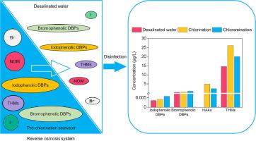 Occurrence, toxicity, and control of halogenated aliphatic and phenolic disinfection byproducts in the chlorinated and chloraminated desalinated water