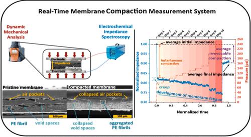 Compaction of Pressure-Driven Water Treatment Membranes: Real-Time Quantification and Analysis.