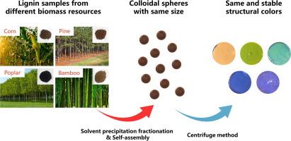 Preparation of structural colors from lignin: Improving the homogeneity between different raw materials by solvent precipitation fractionation