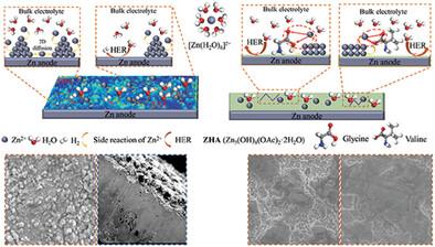 Solvation Modification and Interfacial Chemistry Regulation Via Amphoteric Amino Acids for Long-Cycle Zinc Batteries