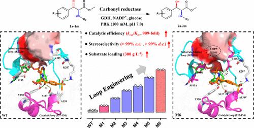 A Highly Stereoselective and Efficient Biocatalytic Synthesis of Chiral Syn-Aryl β-Hydroxy α-Amino Esters