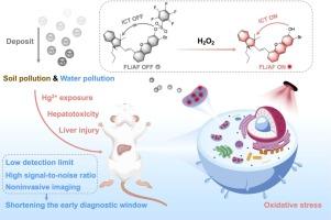 Shortening the early diagnostic window of Hg2+-induced liver injury with a H2O2-activated fluorescence/afterglow imaging assay