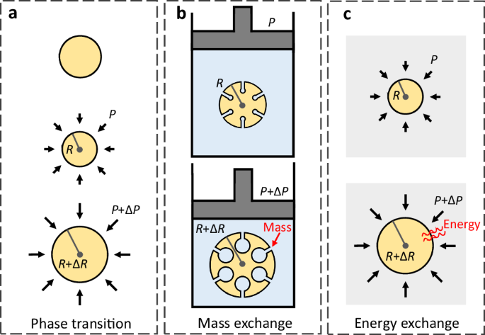 Metamaterials with negative compressibility highlight evolving interpretations and opportunities