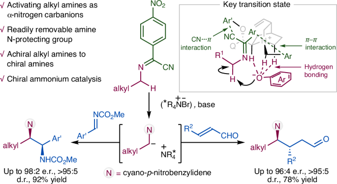 Organocatalytic asymmetric α-C–H functionalization of alkyl amines