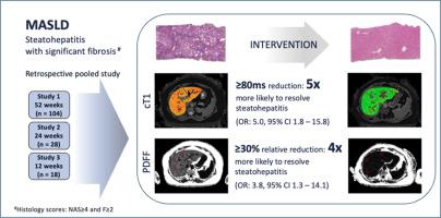 Decreases in cT1 and liver fat content reflect treatment-induced histological improvements in MASH.