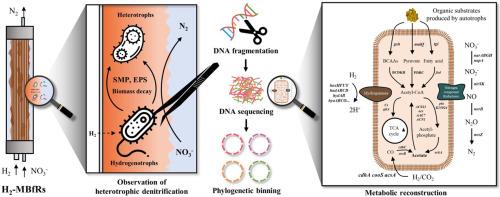 Metagenomic analysis reveals abundance of mixotrophic, heterotrophic, and homoacetogenic bacteria in a hydrogen-based membrane biofilm reactor