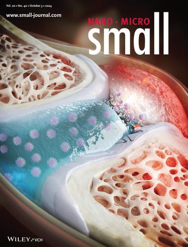 Enhancing Endogenous Hyaluronic Acid in Osteoarthritic Joints with an Anti-Inflammatory Supramolecular Nanofiber Hydrogel Delivering HAS2 Lentivirus (Small 40/2024)