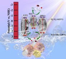 Photocatalytic degradation of norfloxacin antibiotic by a novel Cu-ZnO/BiOI/Bi2WO6 double Z-type heterojunction: Performance, mechanism insight and toxicity assessment