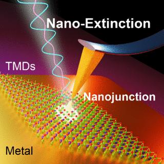 Optical Extinction-Based 3D Nano-Imaging of WS<sub>2</sub> on Gold.