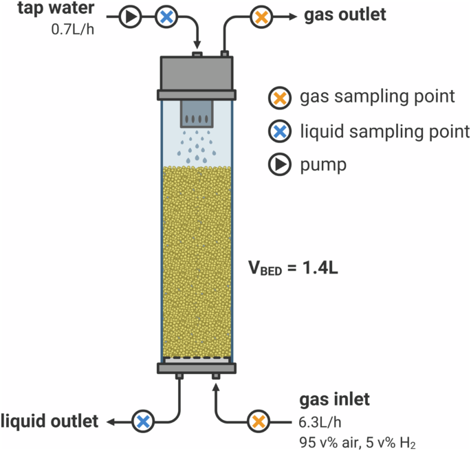 Production of biostable drinking water using a lab-scale biological trickling filter enriched with hydrogen-oxidizing bacteria