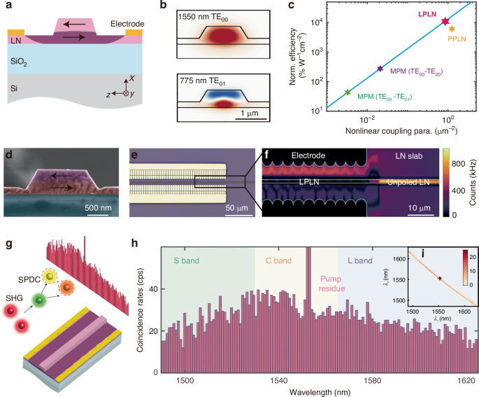 Efficient photon-pair generation in layer-poled lithium niobate nanophotonic waveguides