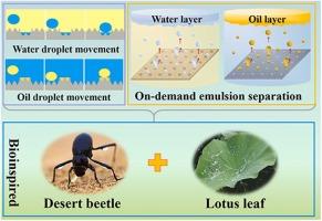 Bioinspired interlaced wetting surfaces for continuous on-demand emulsion separation