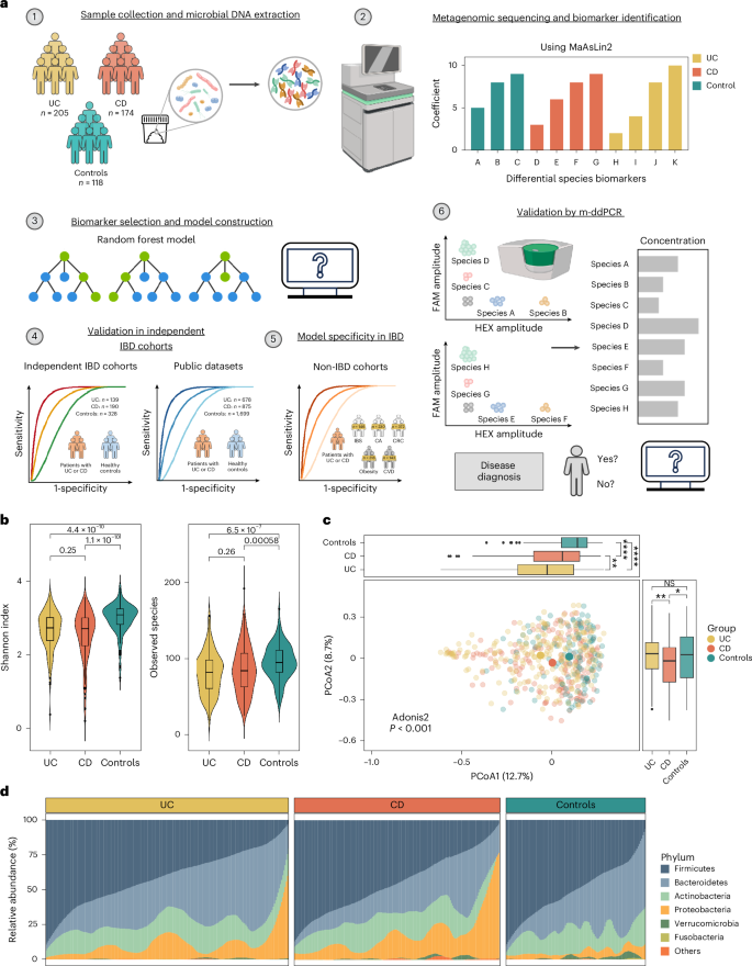 Noninvasive, microbiome-based diagnosis of inflammatory bowel disease