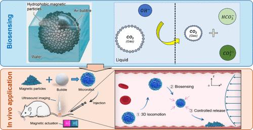 Bubble-Inspired Multifunctional Magnetic Microrobots for Integrated Multidimensional Targeted Biosensing.