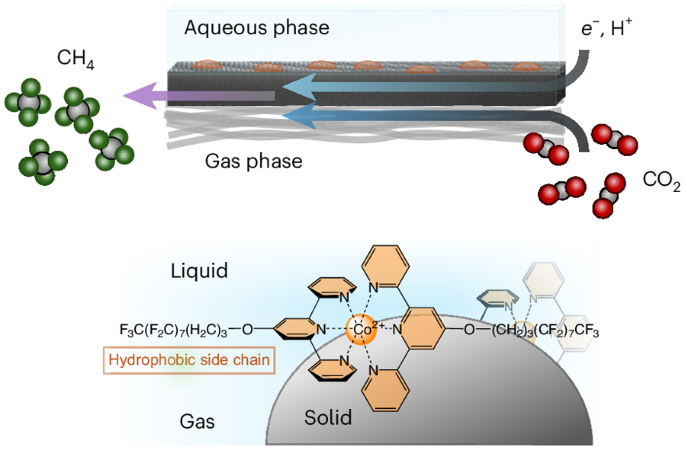 Hydrophobic assembly of molecular catalysts at the gas–liquid–solid interface drives highly selective CO2 electromethanation