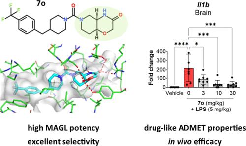 Structure-Guided Discovery of <i>cis</i>-Hexahydro-pyrido-oxazinones as Reversible, Drug-like Monoacylglycerol Lipase Inhibitors.