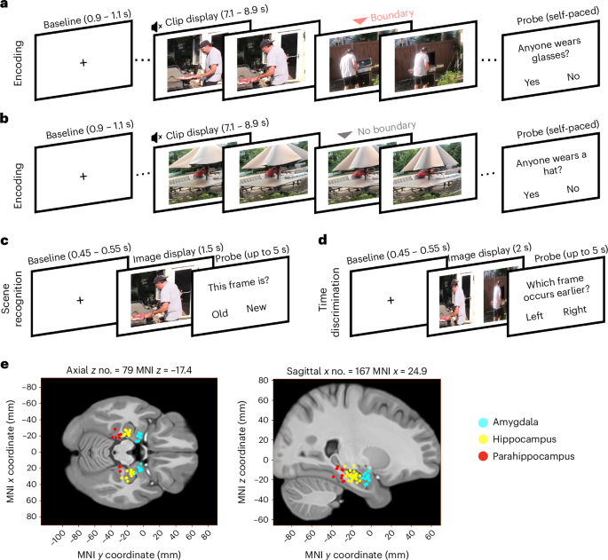 Theta phase precession supports memory formation and retrieval of naturalistic experience in humans