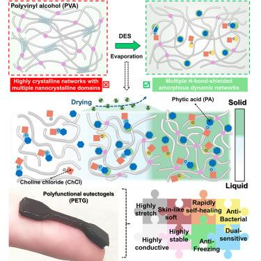 Polyfunctional eutectogels with multiple hydrogen-bond-shielded amorphous networks for soft ionotronics