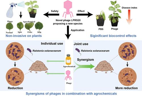 Exploration of Phage-Agrochemical Interaction Based on a Novel Potent Phage LPRS20-Targeting <i>Ralstonia solanacearum</i>.