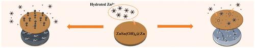 Achieving Ultra-Long Cycle Life of Zn Anode Using ZnSn(OH)<sub>6</sub> Coating Layer via Desolvation Effect and Uniform Zn<sup>2+</sup> Flux.