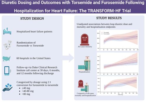 Diuretic dosing and outcomes with torsemide and furosemide following hospitalization for heart failure: The TRANSFORM-HF trial.