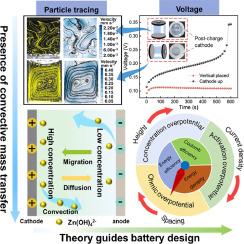 Revealing the Intricacies of Natural Convection: A Key Factor in Aqueous Zinc Battery Design