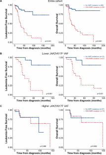 Synergistic effect of concurrent high molecular risk mutations and lower JAK2 mutant variant allele frequencies on prognosis in patients with myelofibrosis—insights from a multicenter study