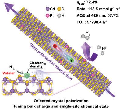 Oriented Crystal Polarization Tuning Bulk Charge and Single-Site Chemical State for Exceptional Hydrogen Photo-Production.