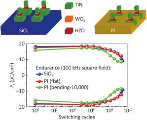 Ultrathin WOx interfacial layer improving the ferroelectricity and endurance of Hf0.5Zr0.5O2 thin films on polyimide