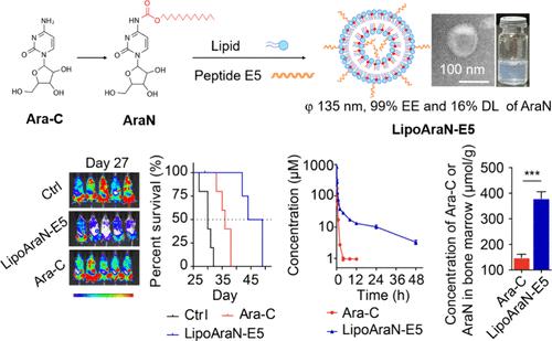 A Dual-Function LipoAraN-E5 Coloaded with <i>N</i><sup>4</sup>-Myristyloxycarbonyl-1-β-d-arabinofuranosylcytosine (AraN) and a CXCR4 Antagonistic Peptide (E5) for Blocking the Dissemination of Acute Myeloid Leukemia.