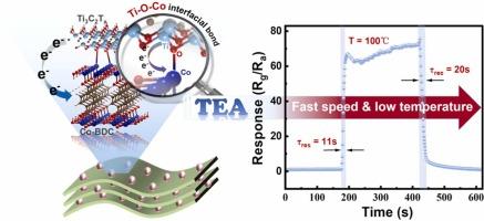 Chemiresistive triethylamine detection based on the novel Ti3C2Tx/Co-BDC gas sensor