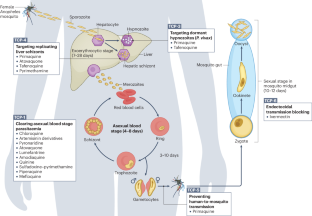 Towards next-generation treatment options to combat Plasmodium falciparum malaria