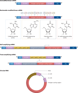 mRNA vaccines for infectious diseases — advances, challenges and opportunities