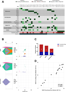 Monitoring clonal burden as an alternative to blast count for myelodysplastic neoplasm treatment response