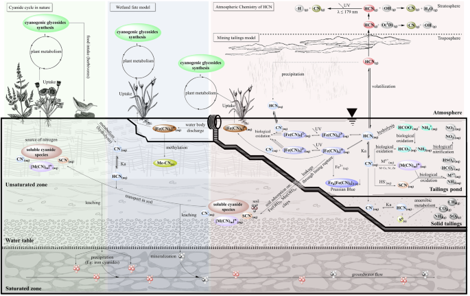 Chemical, ecotoxicological characteristics, environmental fate, and treatment methods applied to cyanide-containing wastewater