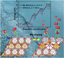 Electronic structure engineering of NiFe hydroxide nanosheets via ion doping for efficient OER electrocatalysis