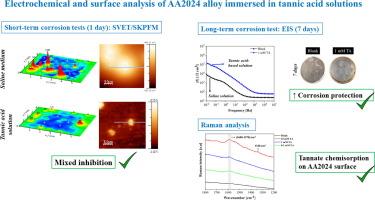 Corrosion inhibitor from nature: Fundamentals of tannic acid inhibition for AA2024 alloy